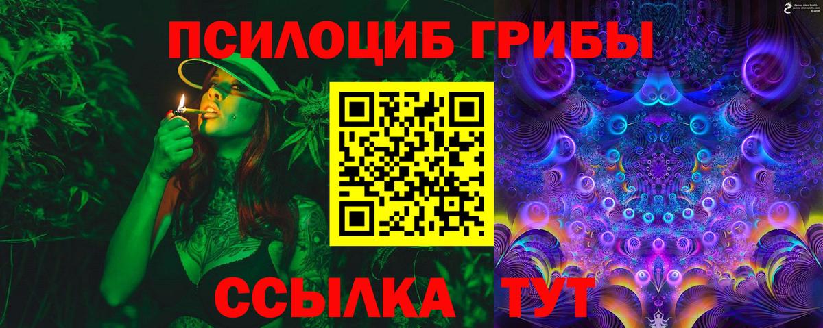 Галлюциногенные грибы Psilocybe  Вход с VPN  Кинель 