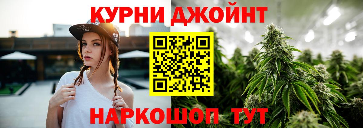 Конопля план Кинель